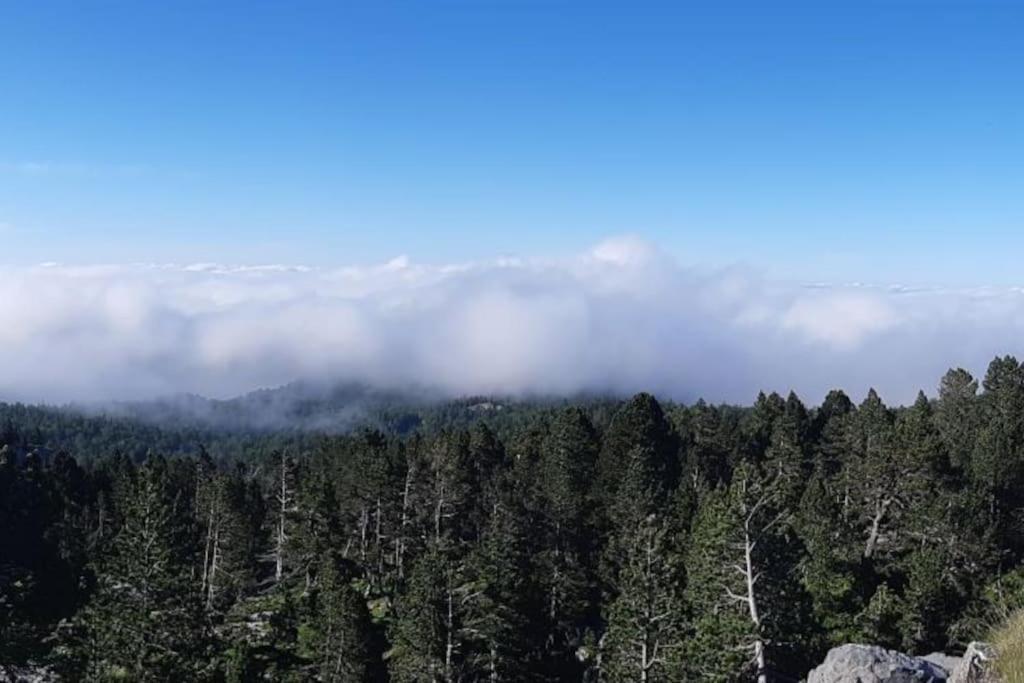 Studio La Pierre Saint Martin Refait Au Gout Du Jour Vue Sur La Vallee Bagian luar foto